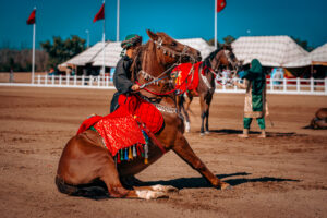 Cavalerie Royale d&rsquo;Oman au Salon du Cheval d&rsquo;El Jadida